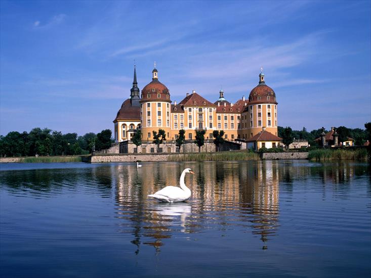Tapety i Zdjęcia - Moritzburg_Castle_near_Dresden,_Saxony,_Germany_1.jpg