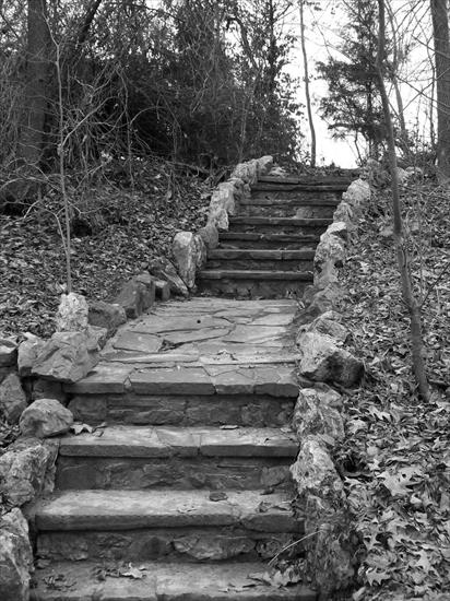 Architektura,Schody, Staircase - old_stone_stairs_in_the_woods_by_dingo84dogs-d45wlx5.jpg