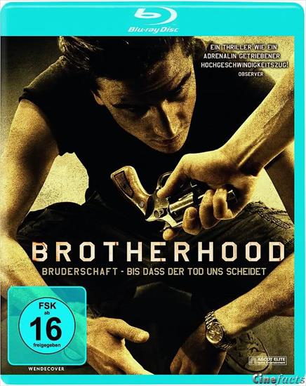 Brotherhood 2010 BRRip x264 Feel-Free - 2wfvd4n.jpg