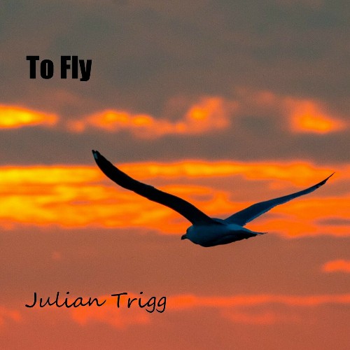 Julian Trigg - To Fly 2024 - cover.jpg